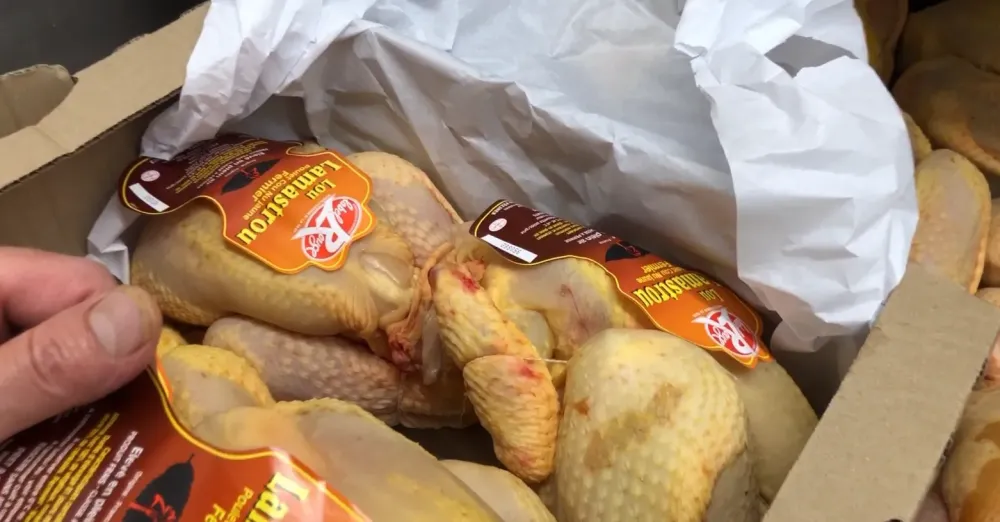 poulet-label-rouge